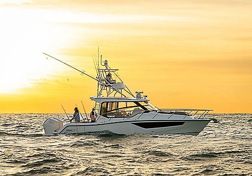 Boston Whaler 365 Conquest en navigation sous le coucher de soleil